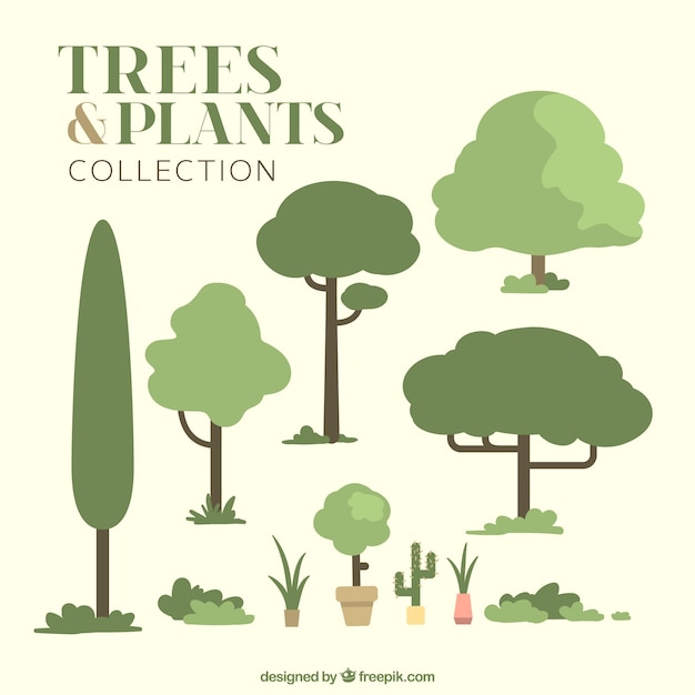 Les Arbres Et Les Plantes Dans Des Tons Verts