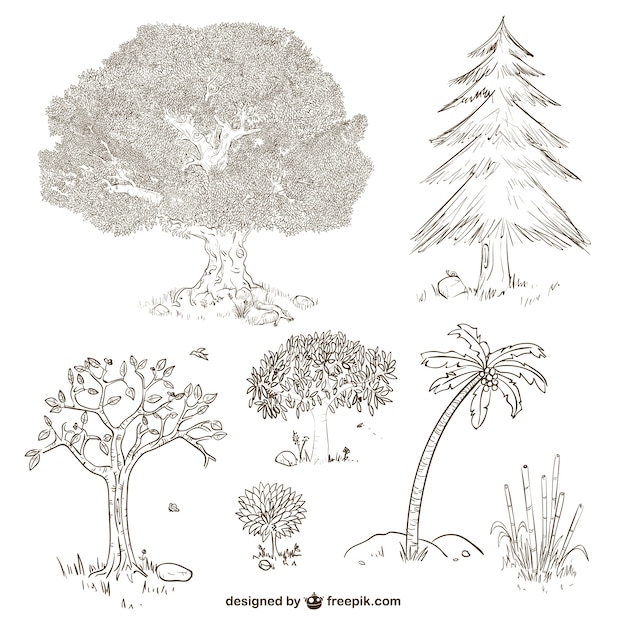 Vecteur gratuit les arbres et les plantes dessins