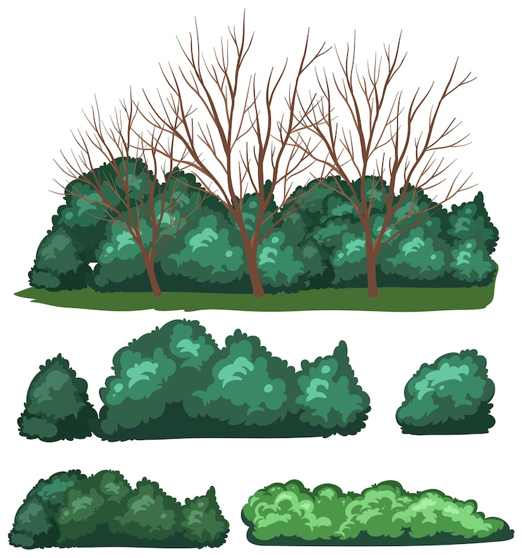 Vecteur gratuit des arbres variés sur fond blanc