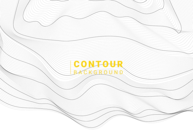 Arrière-plan De Lignes De Contour De Carte Abstraite Noir Et Blanc