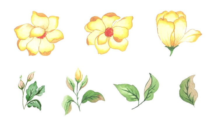 Vecteur gratuit art floral aquarelle à la main