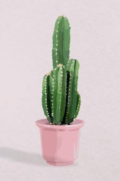 Art vectoriel végétal, cactus dans un pot rose