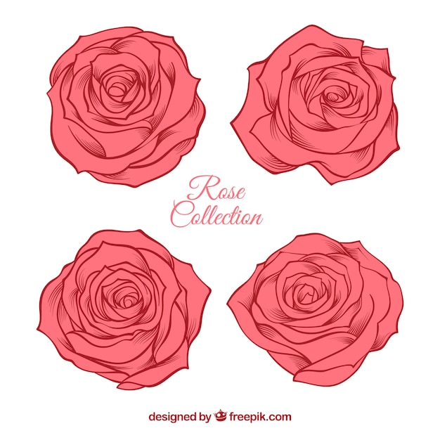 Vecteur gratuit assortiment de jolies roses