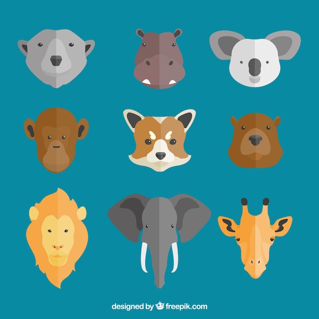 Assortiment De Visages De Neuf Animaux