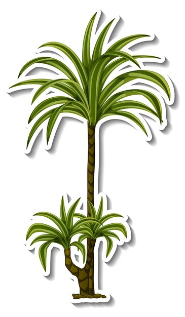 Autocollant arbre tropical sur fond blanc