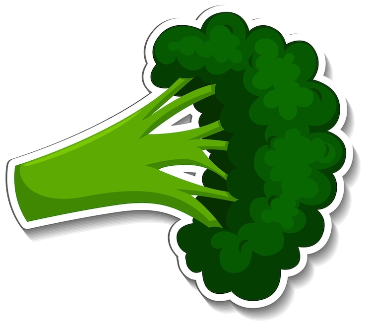 Vecteur gratuit autocollant de brocoli sur fond blanc