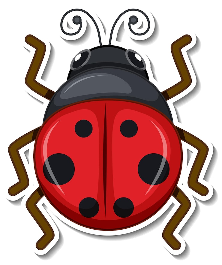 Vecteur gratuit autocollant mignon de bande dessinée animale de coccinelle
