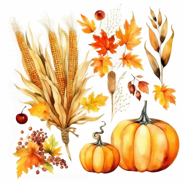 Automne Thanksgiving aquarelle clipart fond blanc