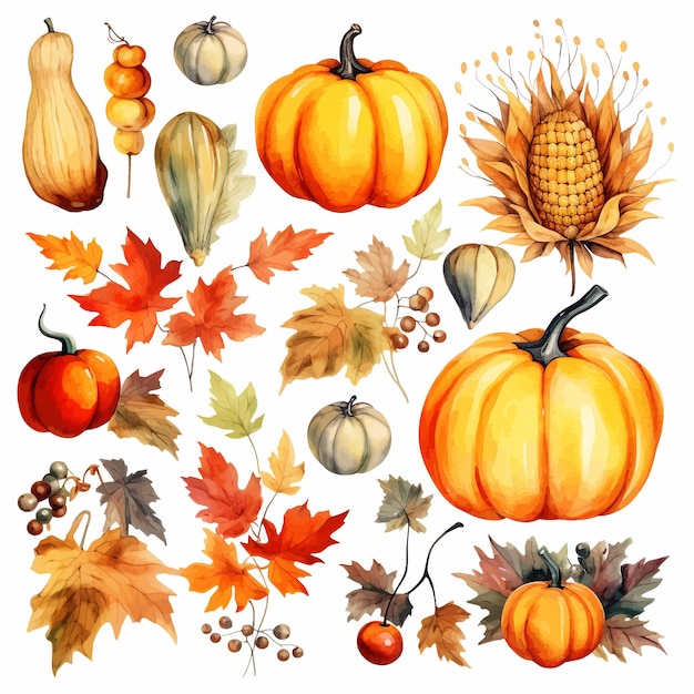 Automne Thanksgiving aquarelle clipart fond blanc