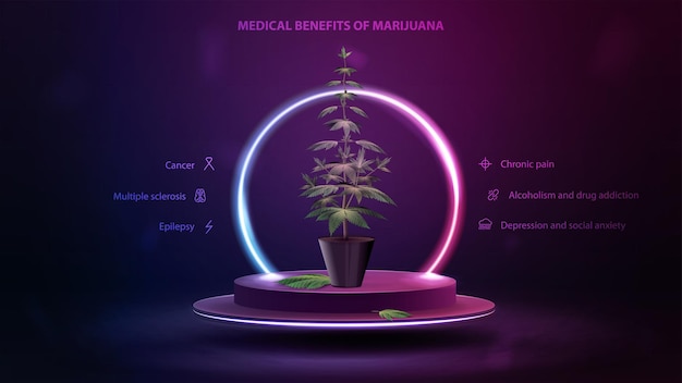 Avantages médicaux de la marijuana, affiche avec podium flottant dans les airs avec buisson de cannabis dans un pot et ifographique des avantages.