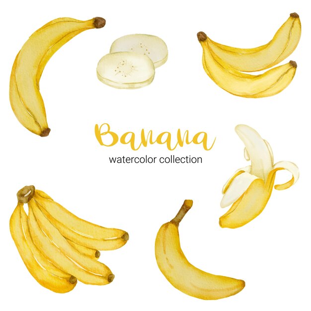 Banane dans une collection d'aquarelle, pleine de fruits et coupée en morceaux et écaille