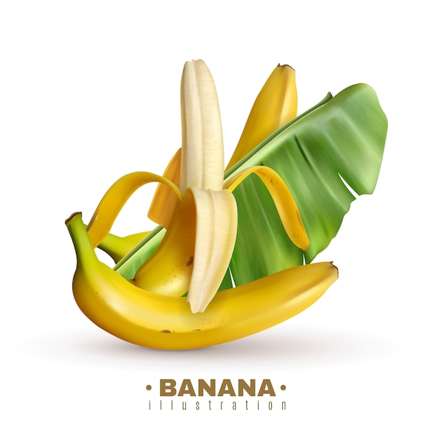 Vecteur gratuit banane réaliste avec texte modifiable et images réalistes de fruits de banane avec peau et feuilles