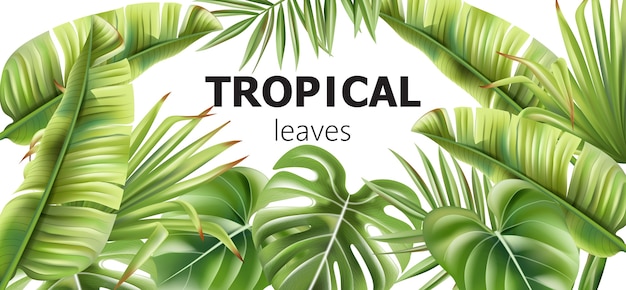 Bannière de feuilles tropicales vertes avec place pour le texte