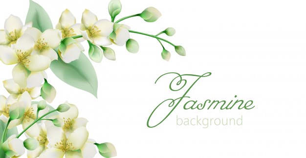 Bannière de fleurs de jasmin vert aquarelle avec place pour le texte