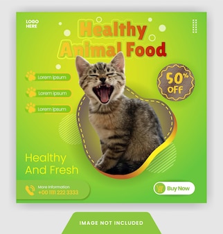 Bannière de nourriture pour animaux de publication instagram ou flyer pour modèle de médias sociaux avec un style de couleur verte moderne