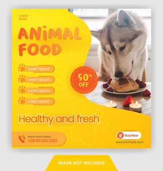 Bannière de nourriture pour animaux de publication instagram ou flyer pour modèle de médias sociaux avec un style moderne