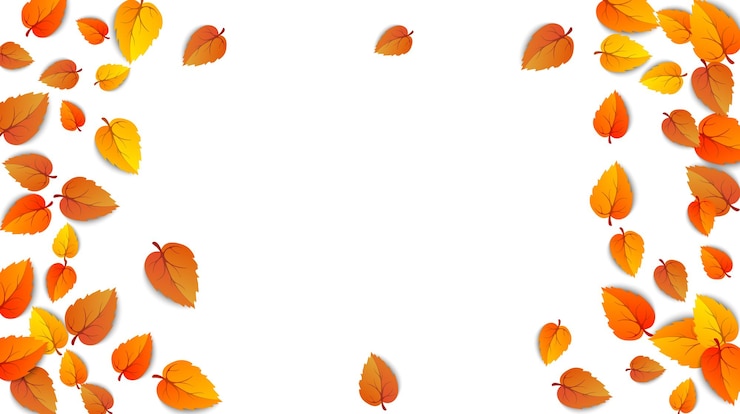 Vecteur gratuit bannière publicitaire de cadre automne avec des feuilles isolées sur fond blanc pour l'affiche de vente d'automne