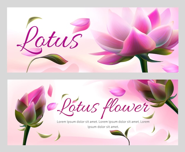 Vecteur gratuit bannières horizontales avec fleurs de lotus roses et pétales volants