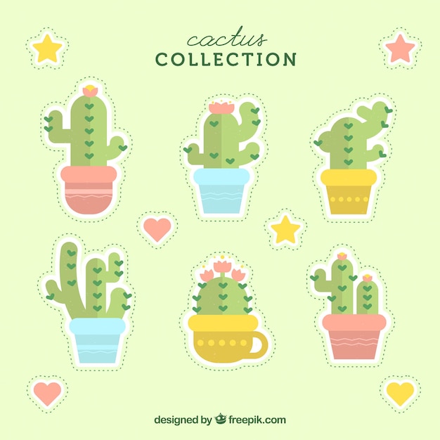 Vecteur gratuit beau cactus avec un design plat