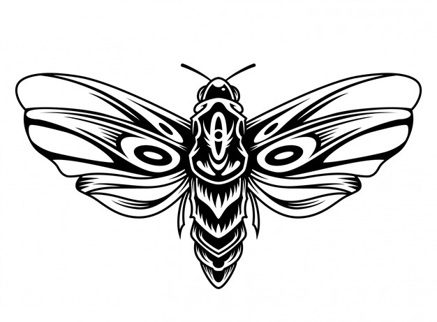 Beau concept vintage papillon