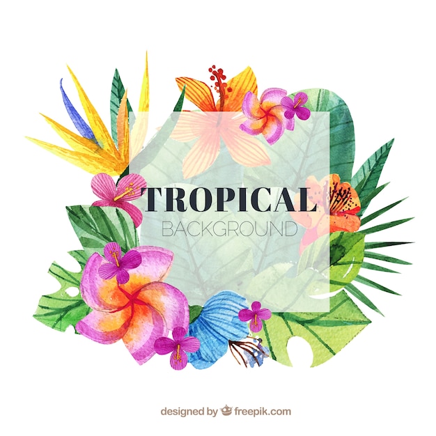 Vecteur gratuit beau fond aquarelle tropical