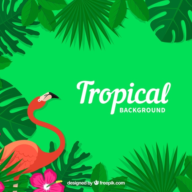 Beau Fond Tropical