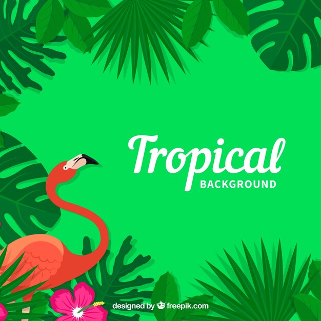 Beau fond tropical