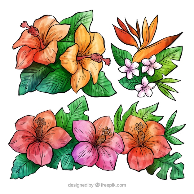 Vecteur gratuit beau jeu de fleurs tropicales aquarelles