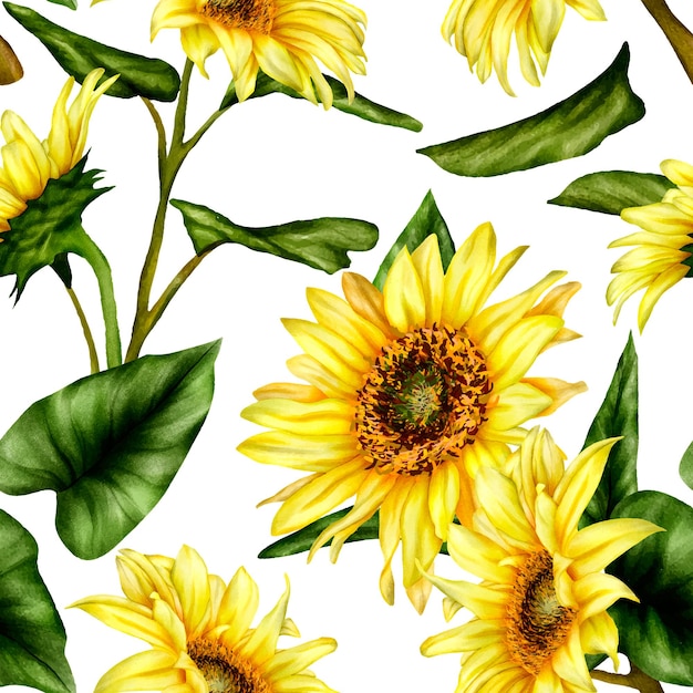 beau modèle sans couture floral de tournesol en fleurs aquarelle