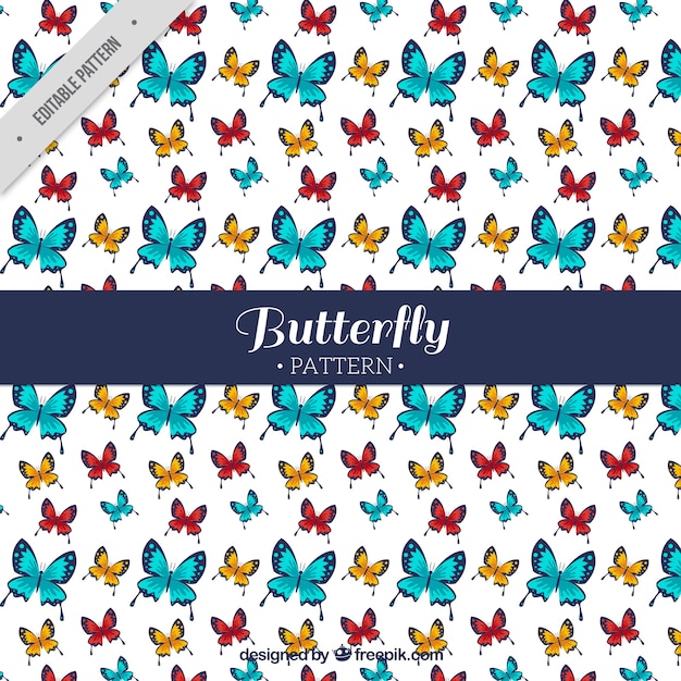 Vecteur gratuit beau motif de papillons colorés dans la conception plate