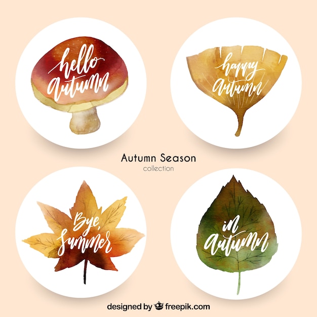 Beau Pack D'automates D'automne