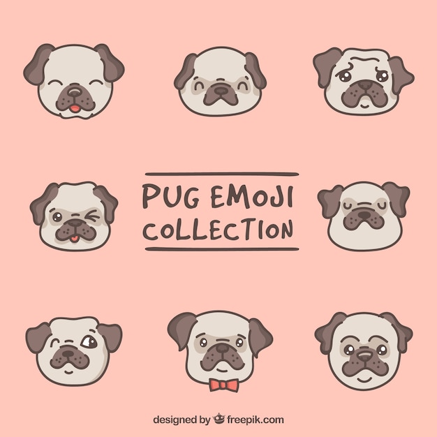 Vecteur gratuit beau pack de visages de pug