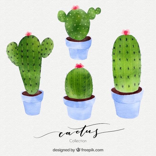 Vecteur gratuit beau paquet de cactus aquarelle