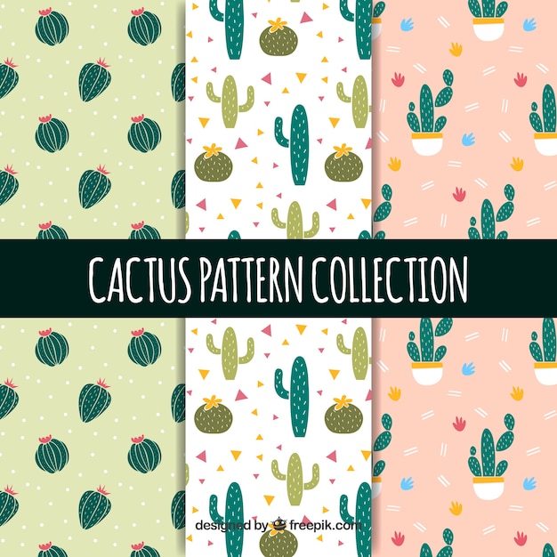 Beau Paquet De Motifs De Cactus