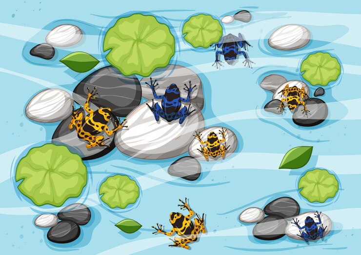 Vecteur gratuit beaucoup de grenouilles exotiques dans la scène de l & # 39; étang