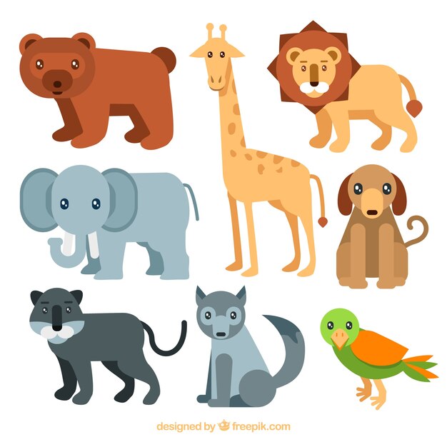 Beaux animaux avec un design plat