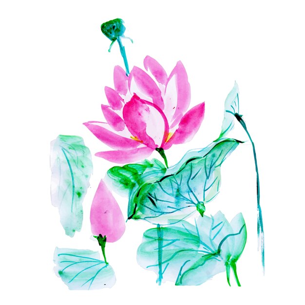 Bel élément floral aquarelle