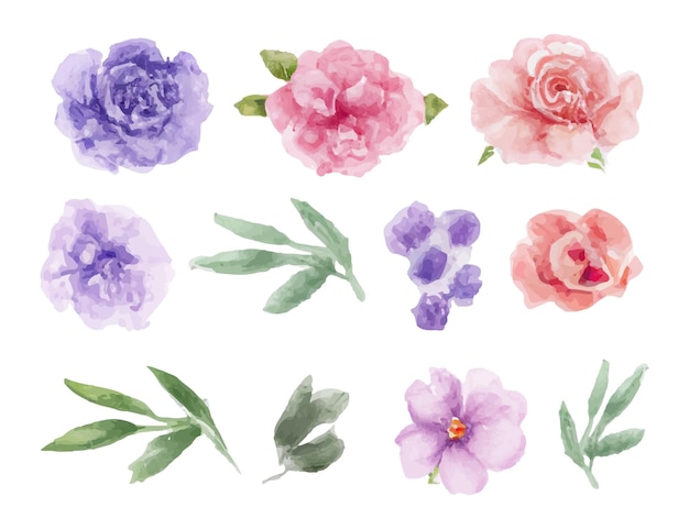 Bel ensemble de bouquet de fleurs et de feuilles à l'aquarelle. Éléments floraux aquarelles