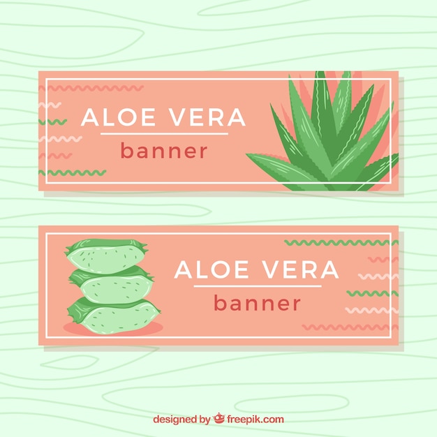 Belle Bannière D'aloe Vera