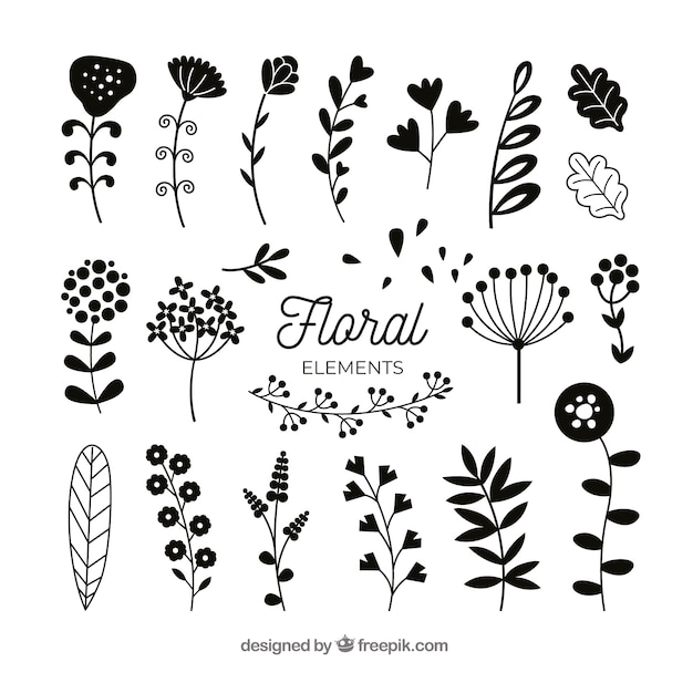 Belle Collection D'éléments Floraux Avec Un Design Plat