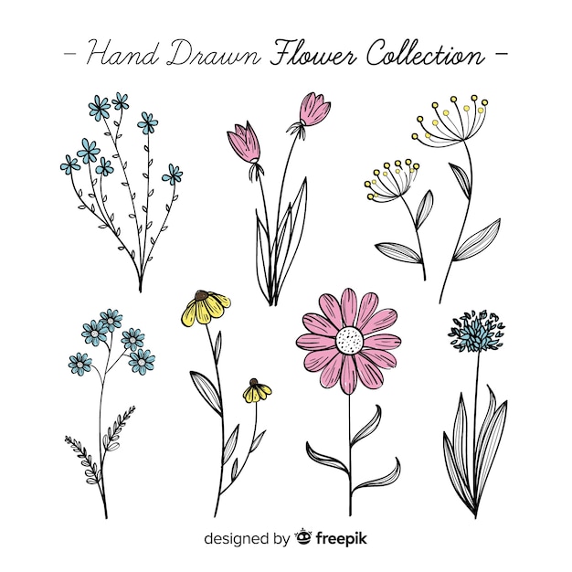 Vecteur gratuit belle collection de fleurs dessinées à la main