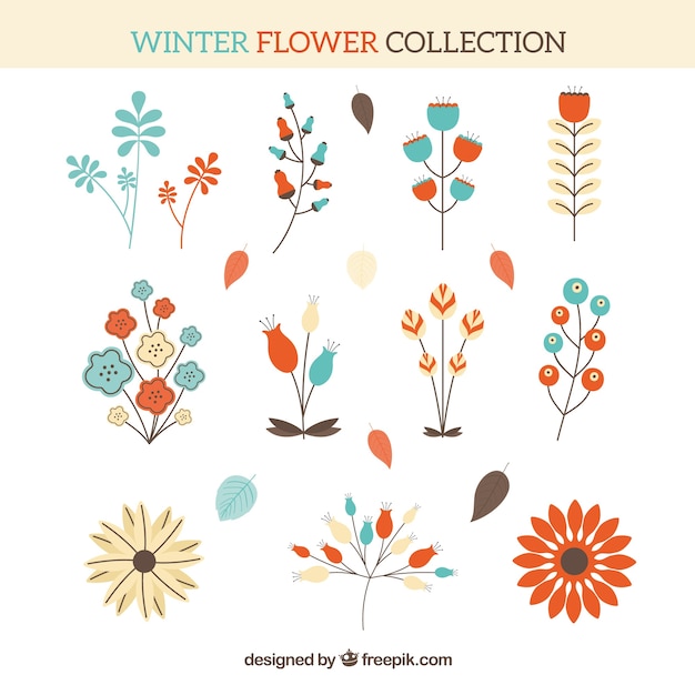 Belle Collection De Fleurs D'hiver Aux Couleurs Douces