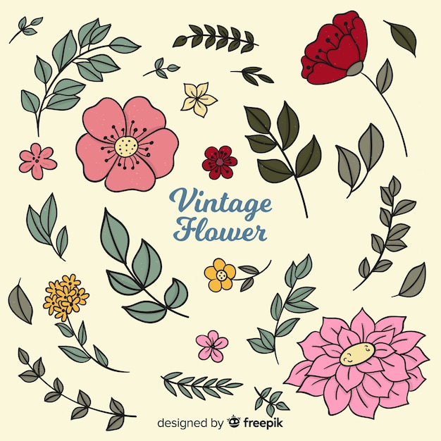 Belle Collection De Fleurs Avec Style Vintage