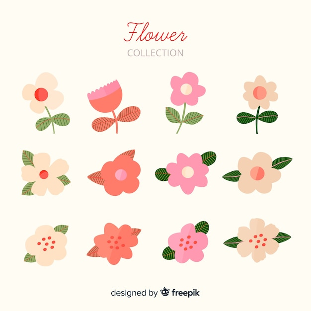 Belle collection de fleurs