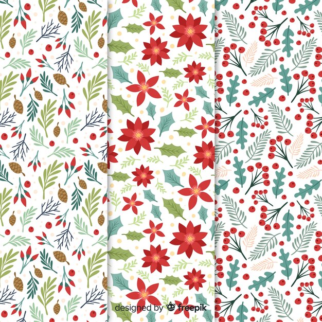 Belle collection de motifs de Noël avec style floral