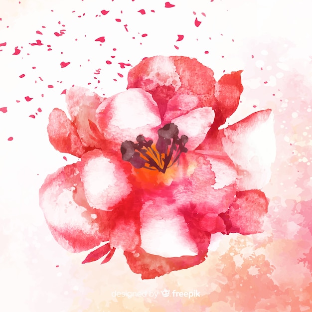 Vecteur gratuit belle fleur aquarelle ombrée rose