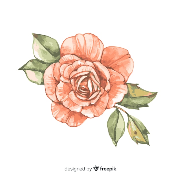 Belle fleur de corail aquarelle