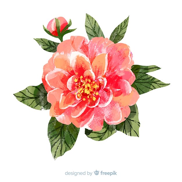 Belle fleur de corail aquarelle