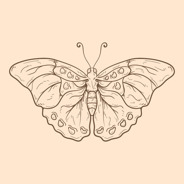 Vecteur gratuit belle illustration de contour de papillon