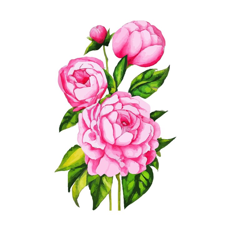 Vecteur gratuit belle illustration de plante fleur aquarelle